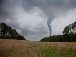 tornado in field