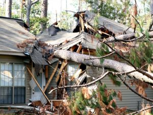 roof damaged by tree