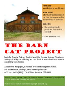 preview image of first page The Barn Cat Project