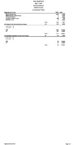 preview image of first page Election Results