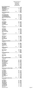preview image of first page General Election Results by Precinct