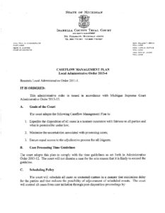 preview image of first page 2015-4 Caseflow Management Plan