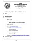 preview image of first page January 6, 2015 Organizational Meeting Agenda