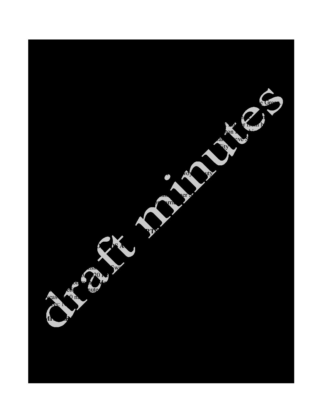 preview image of first page November 3, 2020 Minutes