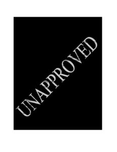 preview image of first page April 17, 2019 Unapproved Minutes