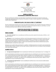 preview image of first page Parenting Time Policy