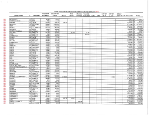 preview image of first page 2024 Single Year Assessments