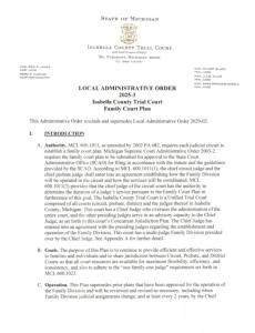 preview image of first page LAO 2025-3 Family Court Plan