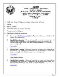 preview image of first page November 18, 2025 Agenda